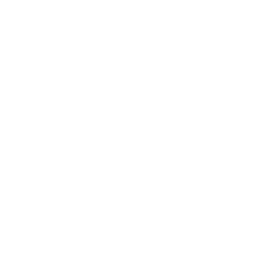 gesHunde Pfoten