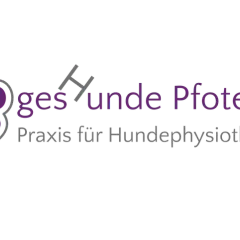 gesHunde Pfoten